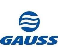 GAUSS GF10025C - FUSIBLE 25A STANDAR FU25